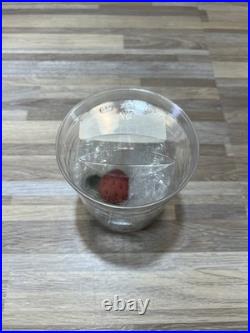Longaberger 2005 Basket Red Wood Lid Canister + plastic lidded insert Longaberger 2005 Basket Red Wood Lid Canister + plastic lidded insert